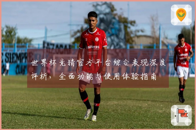 世界杯竞猜官方平台综合表现深度评析，全面功能与使用体验指南