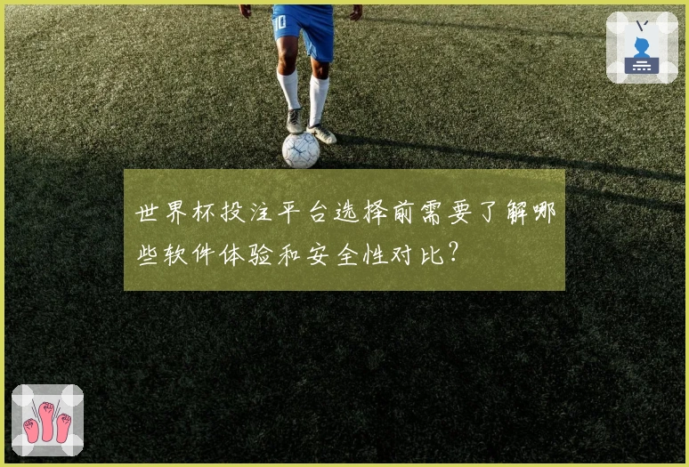 世界杯投注平台选择前需要了解哪些软件体验和安全性对比？