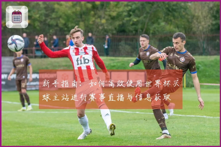 新手指南：如何高效使用世界杯买球主站进行赛事直播与信息获取