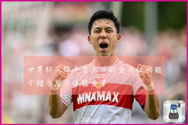 世界杯买球平台入口的全方位功能介绍与用户体验分享