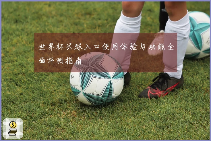 世界杯买球入口使用体验与功能全面评测指南