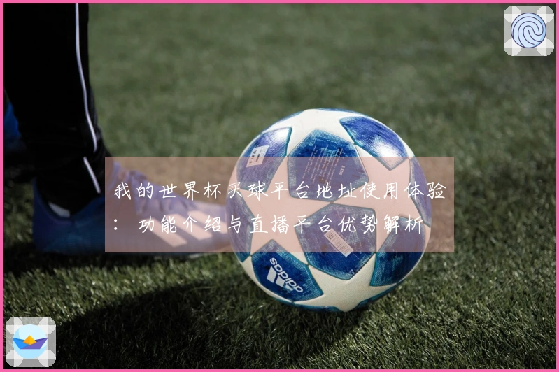 我的世界杯买球平台地址使用体验：功能介绍与直播平台优势解析