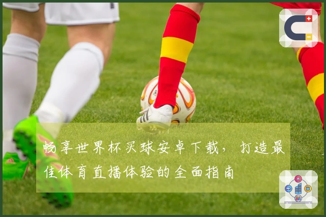 畅享世界杯买球安卓下载，打造最佳体育直播体验的全面指南