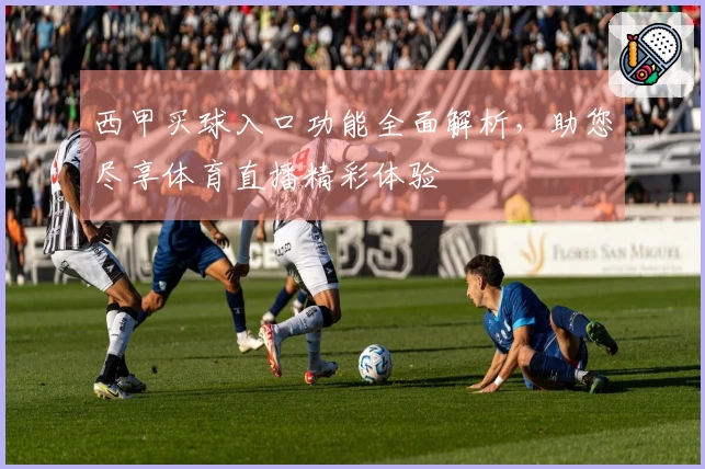 西甲买球入口功能全面解析,助您尽享体育直播精彩体验