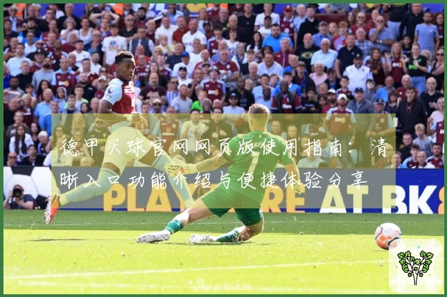 德甲买球官网网页版使用指南：清晰入口功能介绍与便捷体验分享